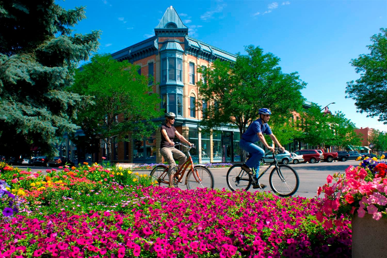 Air Freight Fort Collins
